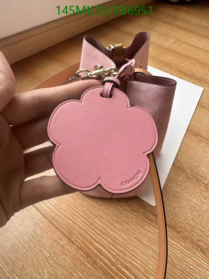 Coach-Bag-Mirror Quality Code: VB6951 $: 145USD