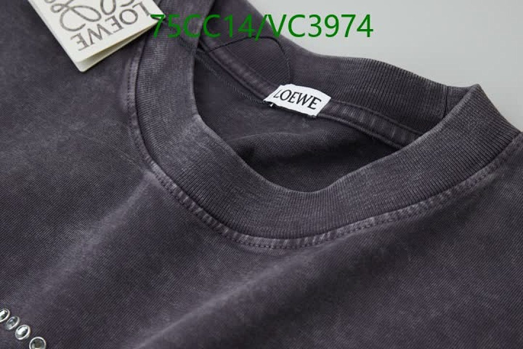 Loewe-Clothing Code: VC3974 $: 75USD