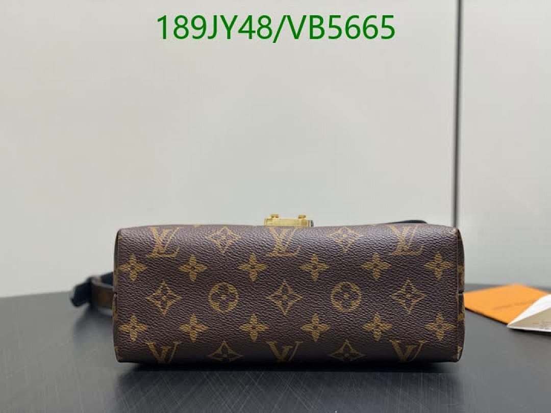 LV-Bag-Mirror Quality Code: VB5665 $: 189USD
