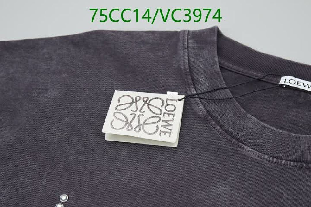 Loewe-Clothing Code: VC3974 $: 75USD