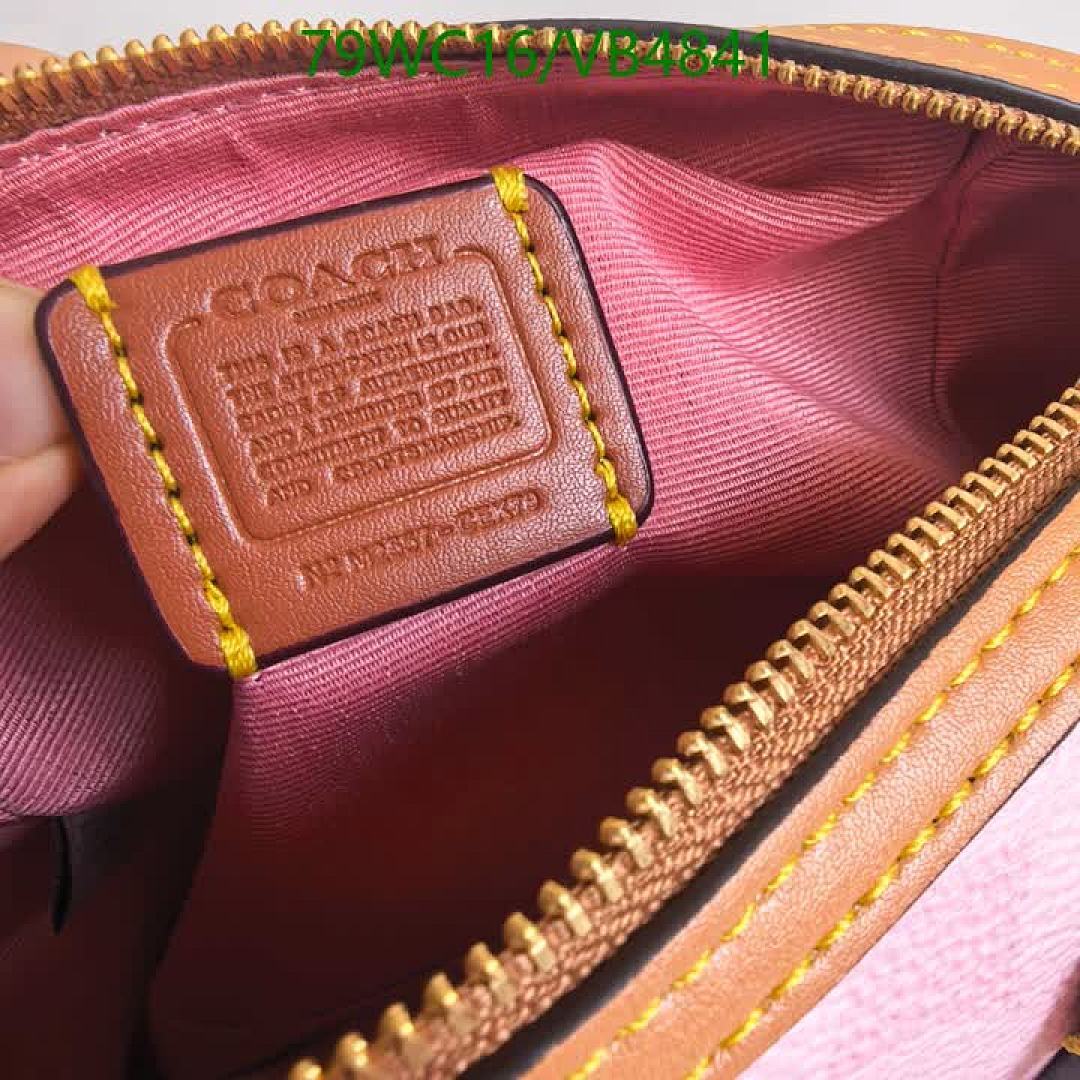 Coach-Bag-4A Quality Code: VB4841 $: 79USD