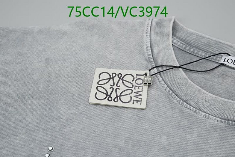 Loewe-Clothing Code: VC3974 $: 75USD