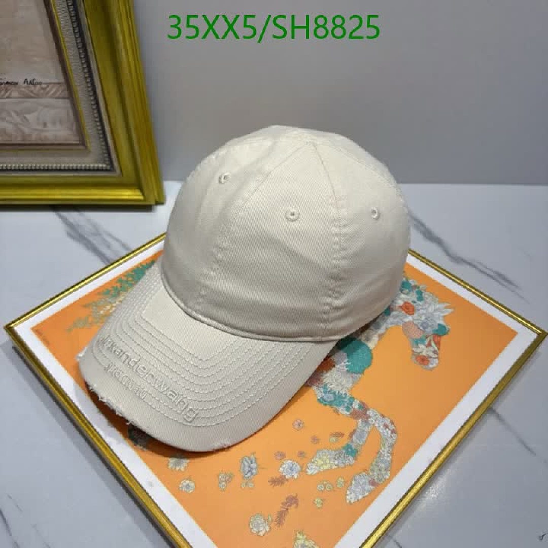 Alexander Wang-Cap(Hat) Code: SH8825 $: 35USD