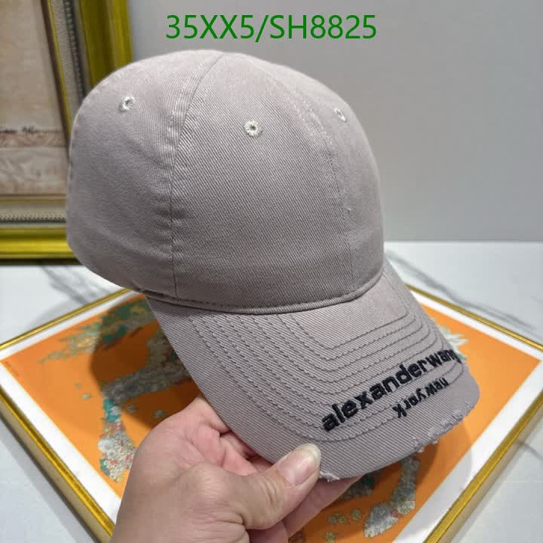 Alexander Wang-Cap(Hat) Code: SH8825 $: 35USD