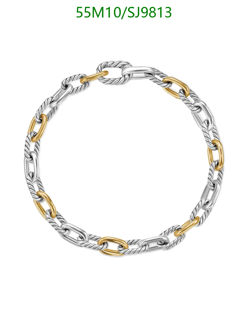 David Yurman-Jewelry Code: SJ9813 $: 55USD