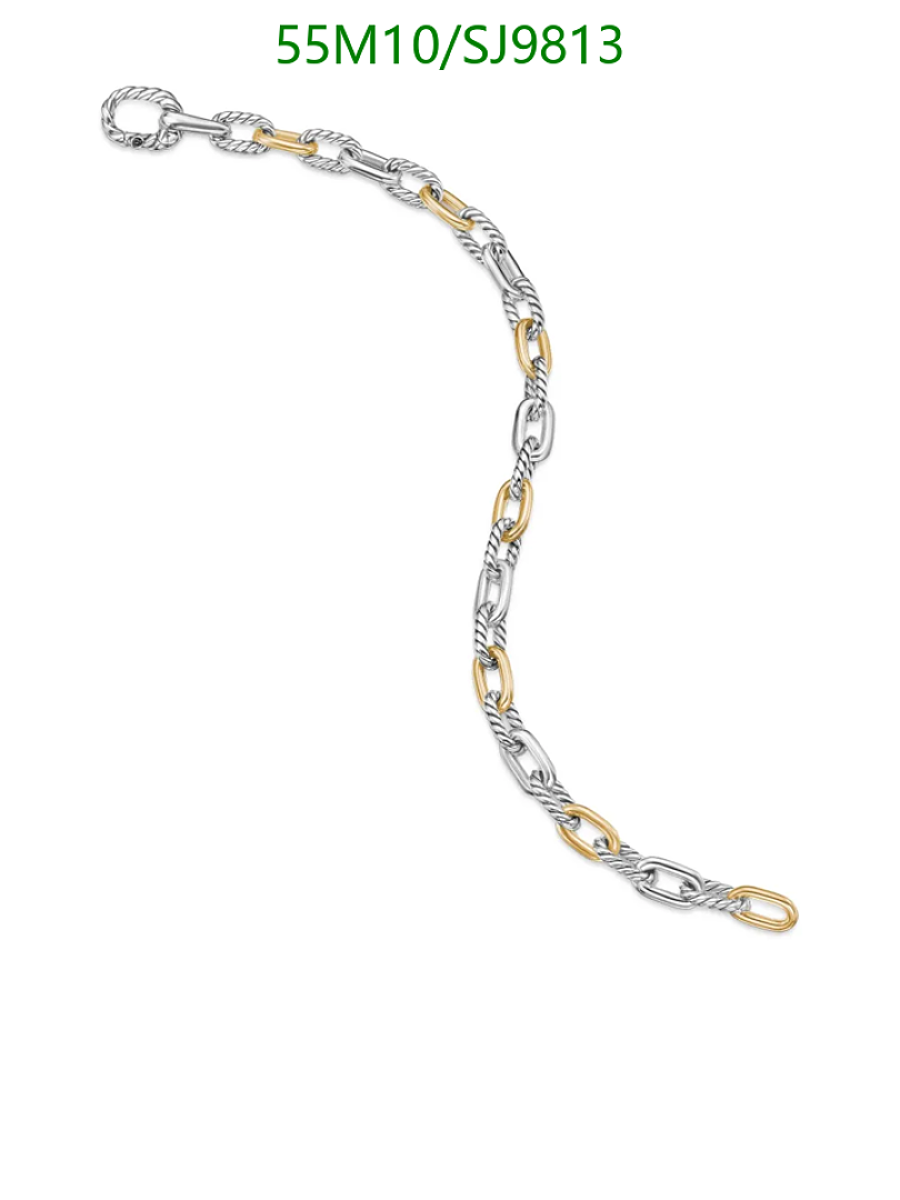 David Yurman-Jewelry Code: SJ9813 $: 55USD