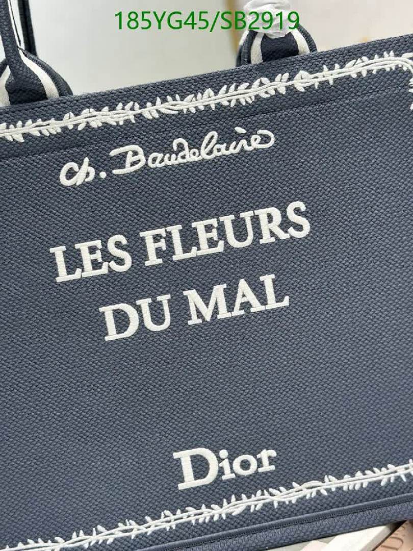 Dior-Bag-Mirror Quality Code: SB2919