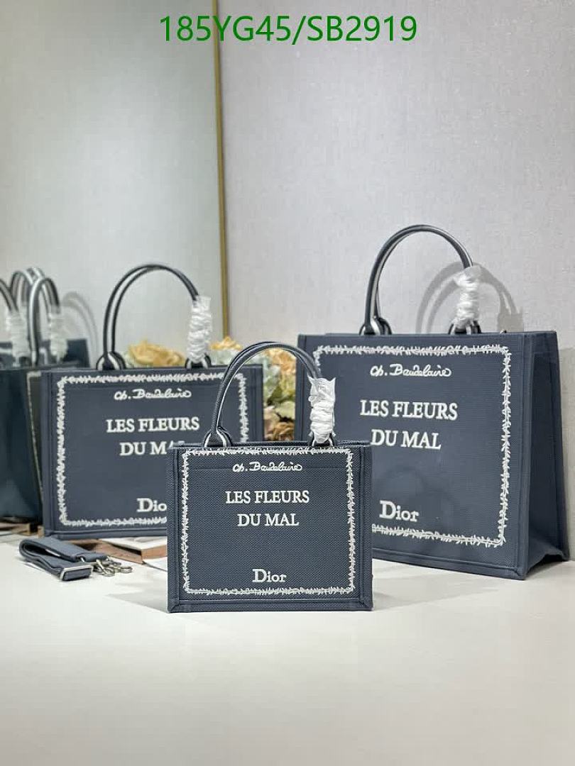 Dior-Bag-Mirror Quality Code: SB2919