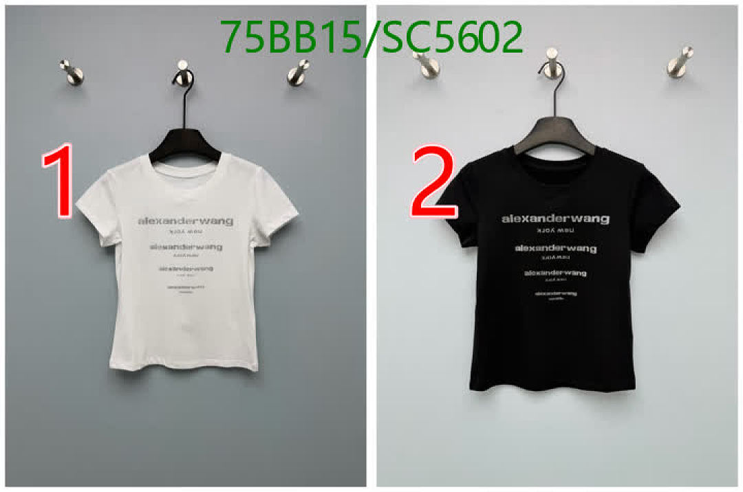 Alexander Wang-Clothing Code: SC5602 $: 75USD