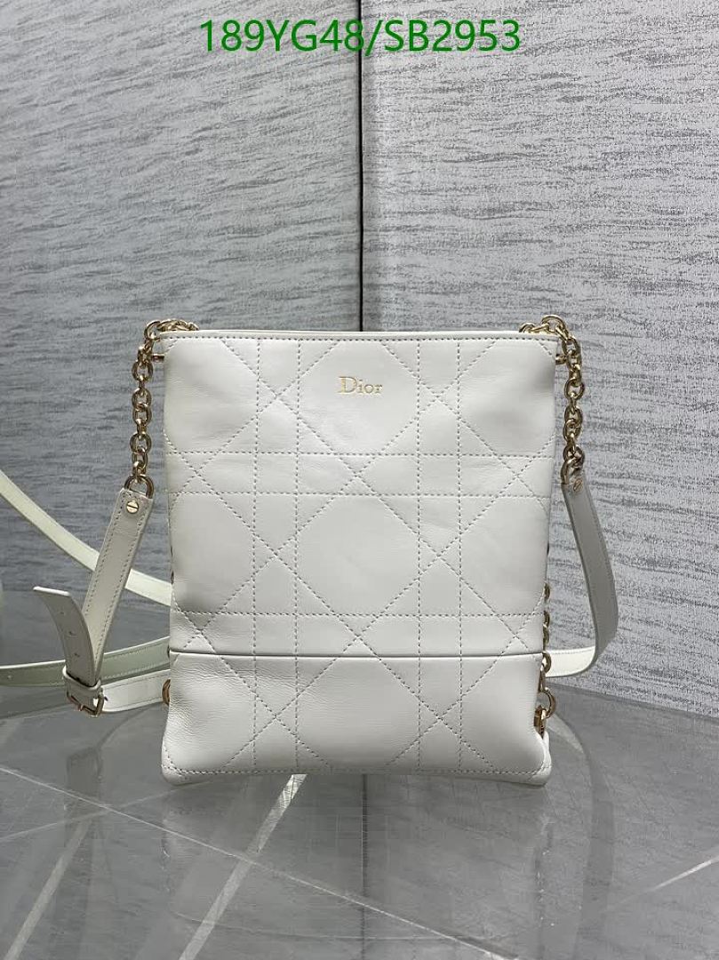 Dior-Bag-Mirror Quality Code: SB2953 $: 189USD