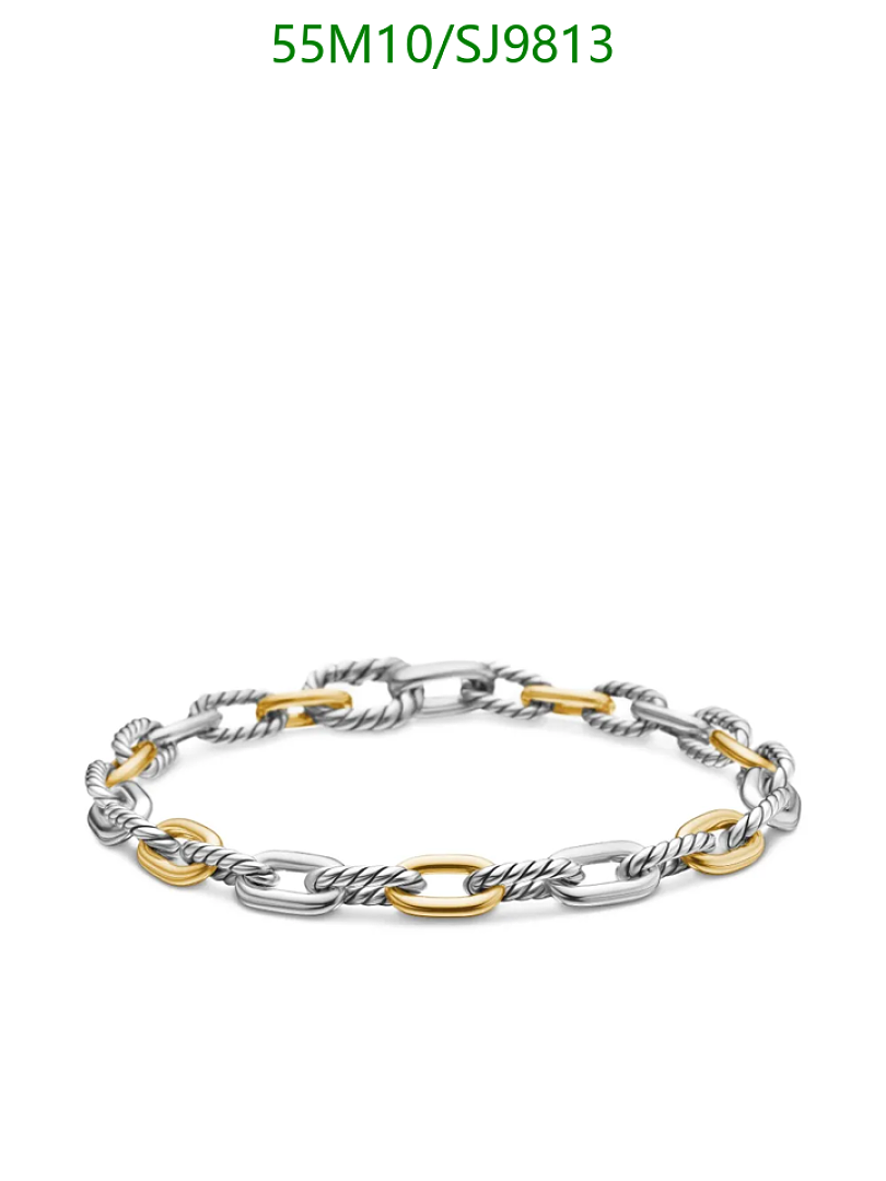 David Yurman-Jewelry Code: SJ9813 $: 55USD
