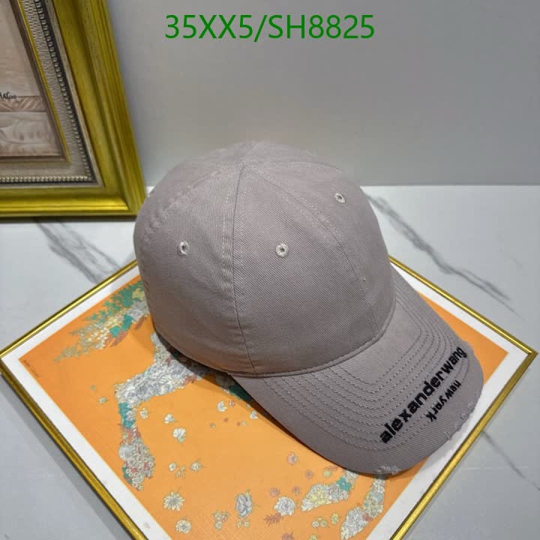 Alexander Wang-Cap(Hat) Code: SH8825 $: 35USD