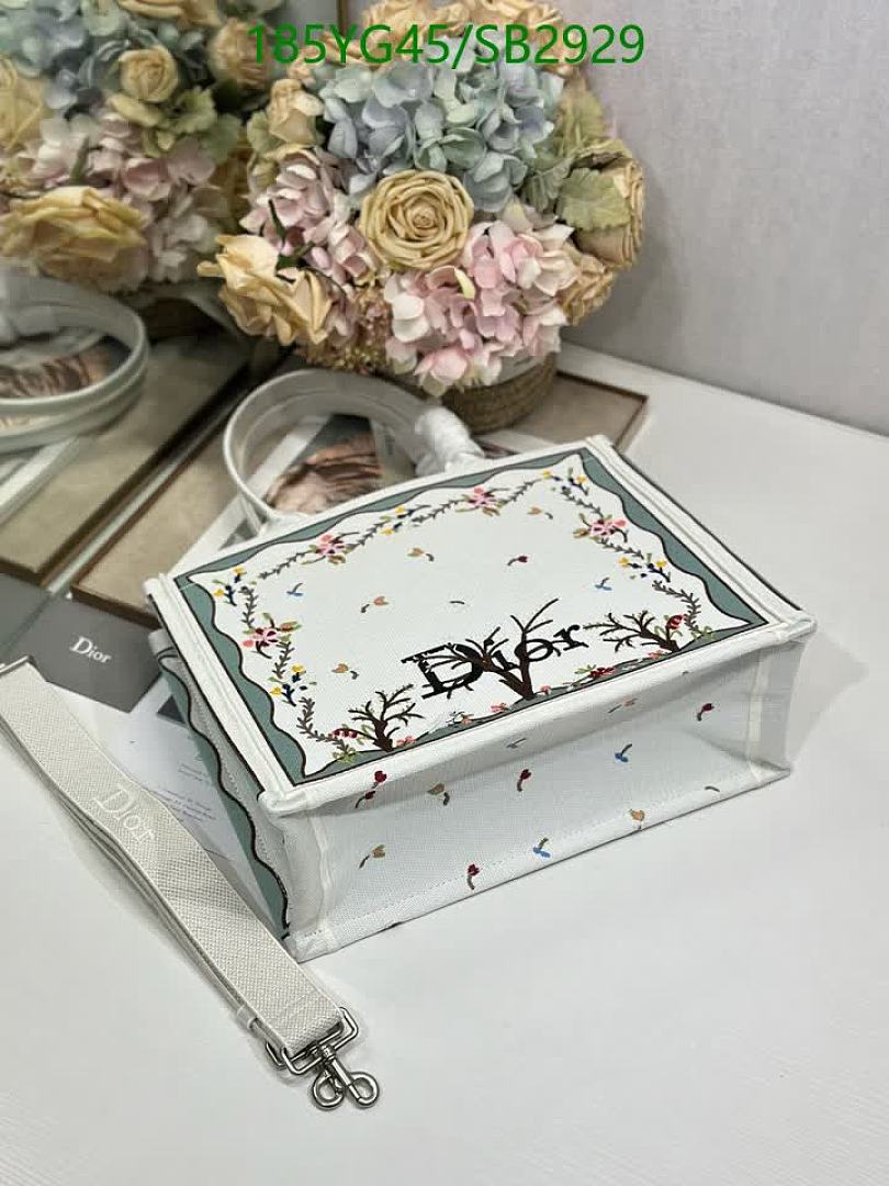 Dior-Bag-Mirror Quality Code: SB2929