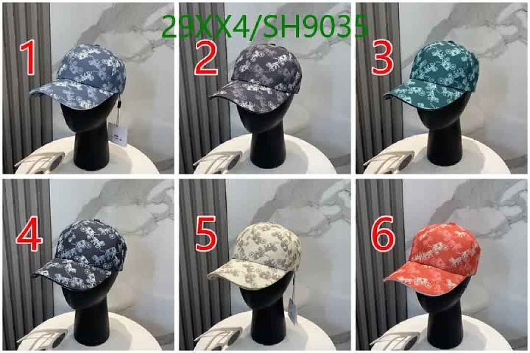 Coach-Cap(Hat) Code: SH9035 $: 29USD