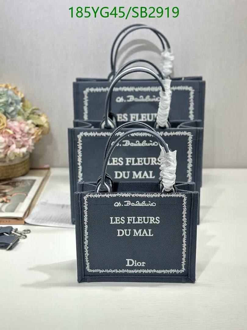 Dior-Bag-Mirror Quality Code: SB2919