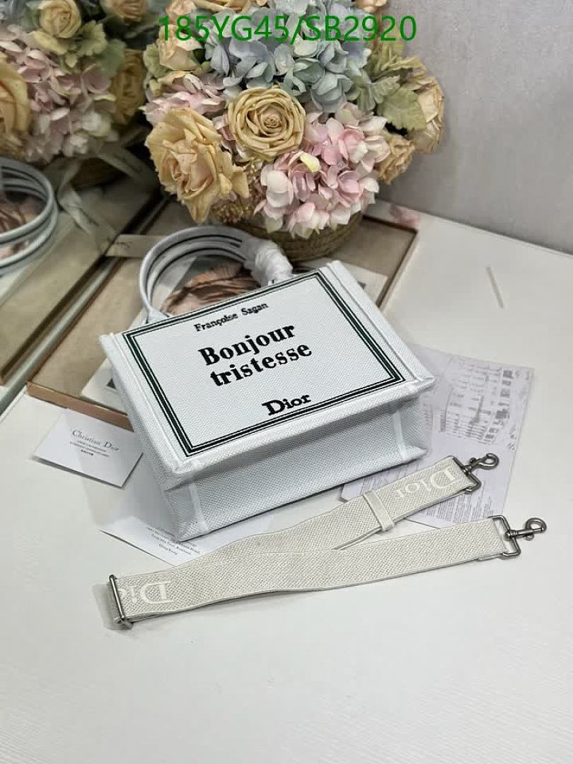 Dior-Bag-Mirror Quality Code: SB2920