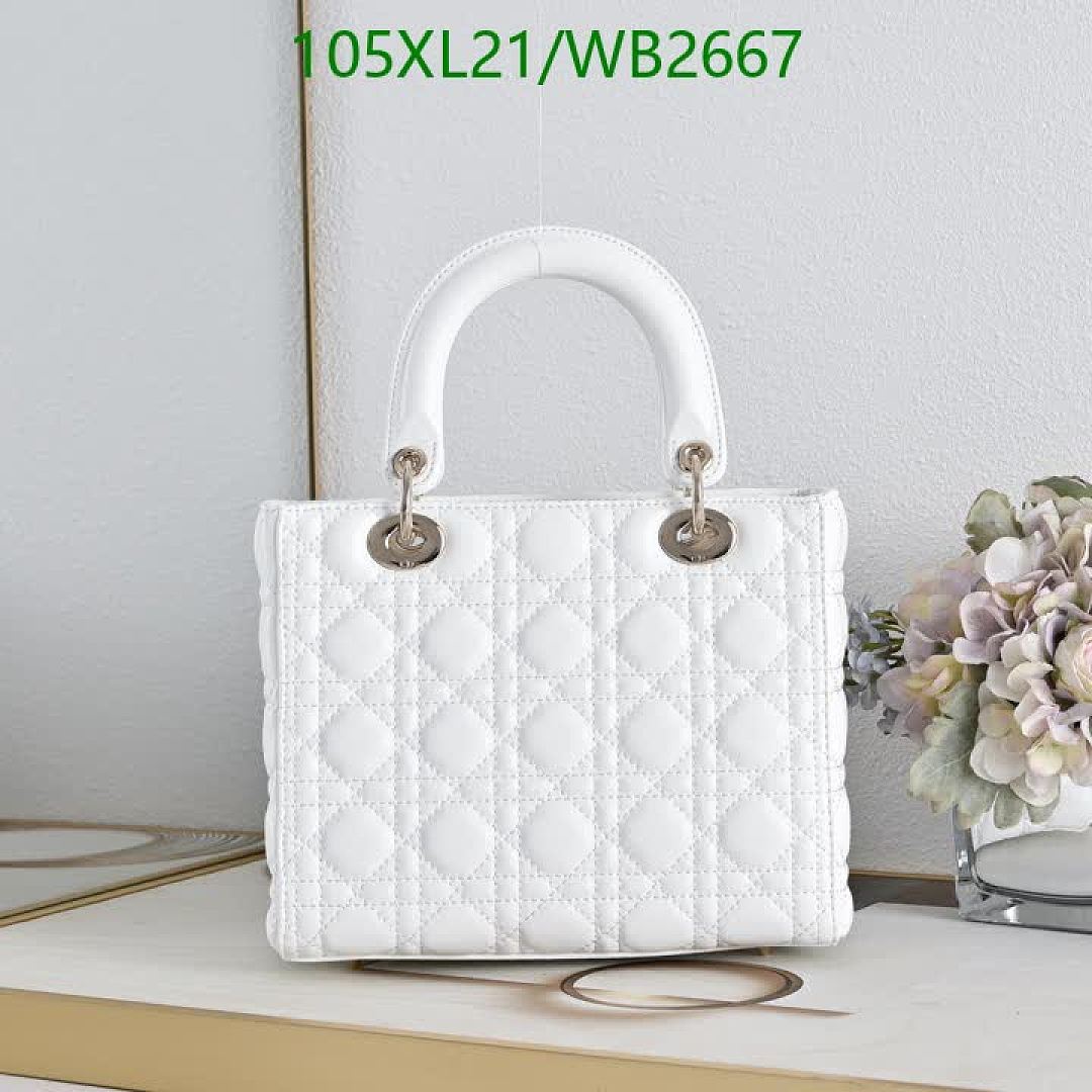 Dior-Bag-4A Quality Code: WB2667 $: 105USD