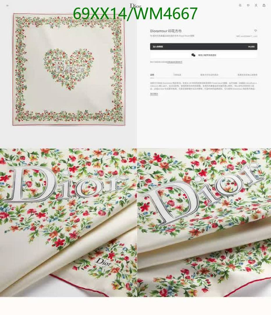 Dior-Scarf Code: WM4667 $: 69USD