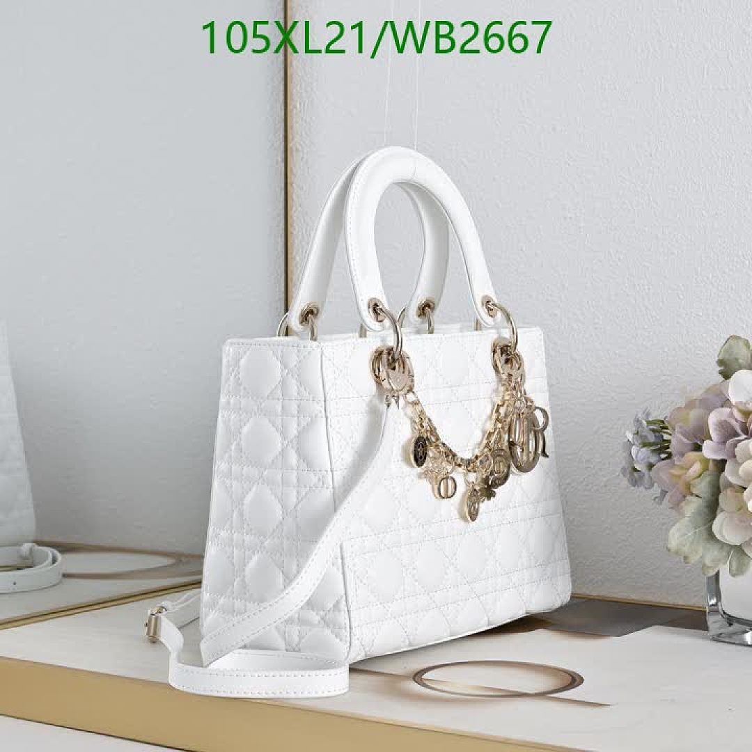 Dior-Bag-4A Quality Code: WB2667 $: 105USD