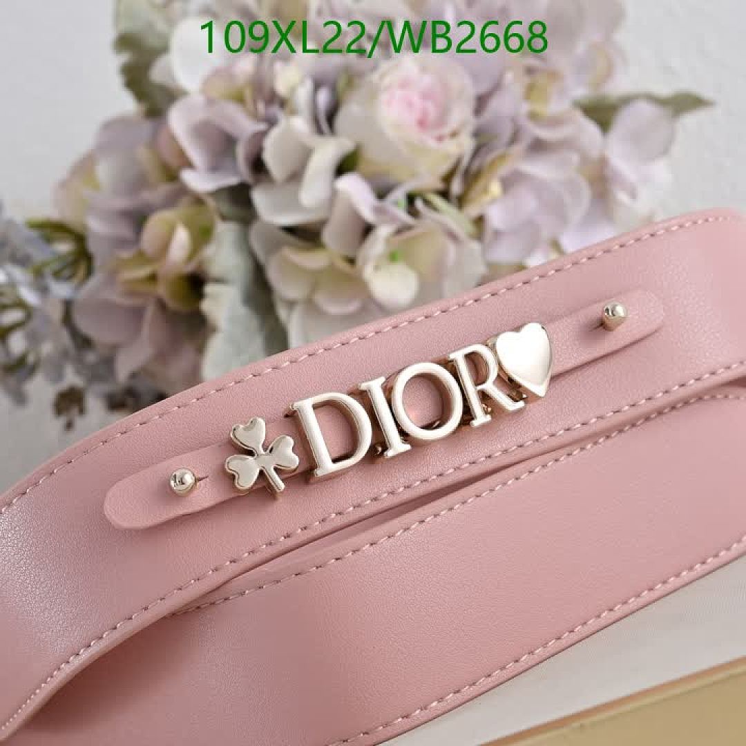 Dior-Bag-4A Quality Code: WB2668 $: 109USD