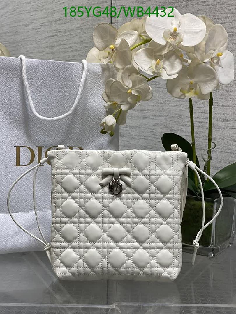 Dior-Bag-Mirror Quality Code: WB4432 $: 185USD