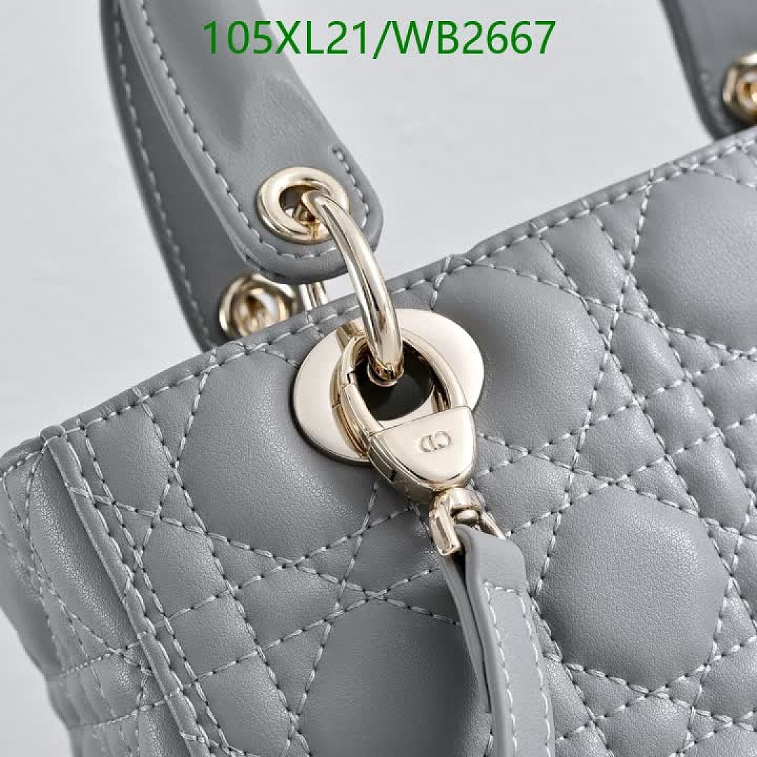 Dior-Bag-4A Quality Code: WB2667 $: 105USD