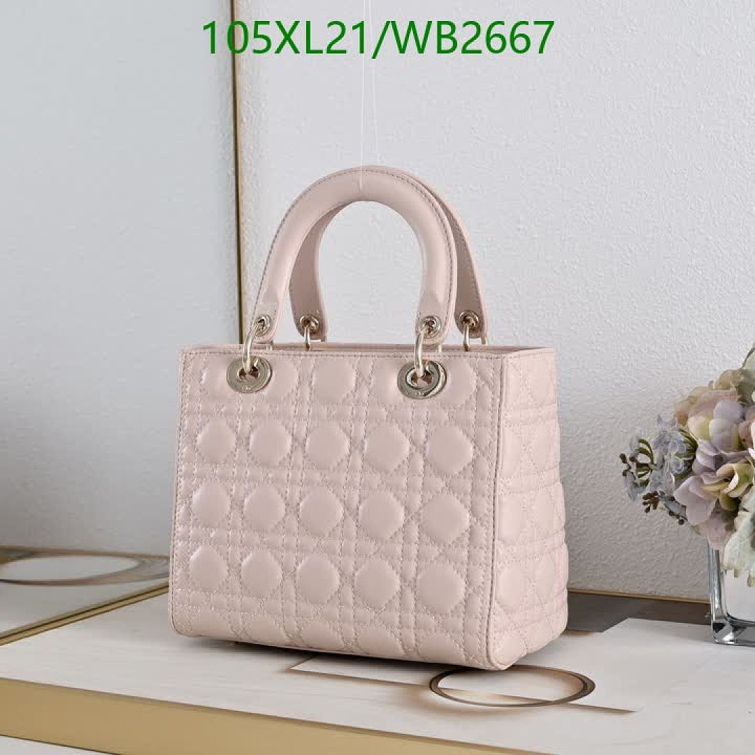 Dior-Bag-4A Quality Code: WB2667 $: 105USD