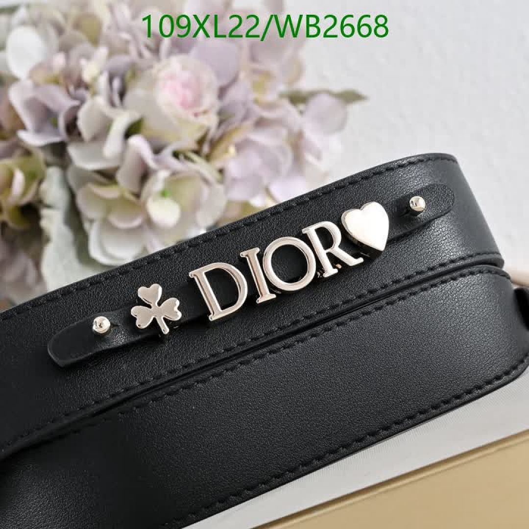 Dior-Bag-4A Quality Code: WB2668 $: 109USD