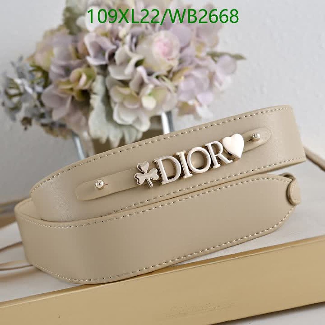 Dior-Bag-4A Quality Code: WB2668 $: 109USD