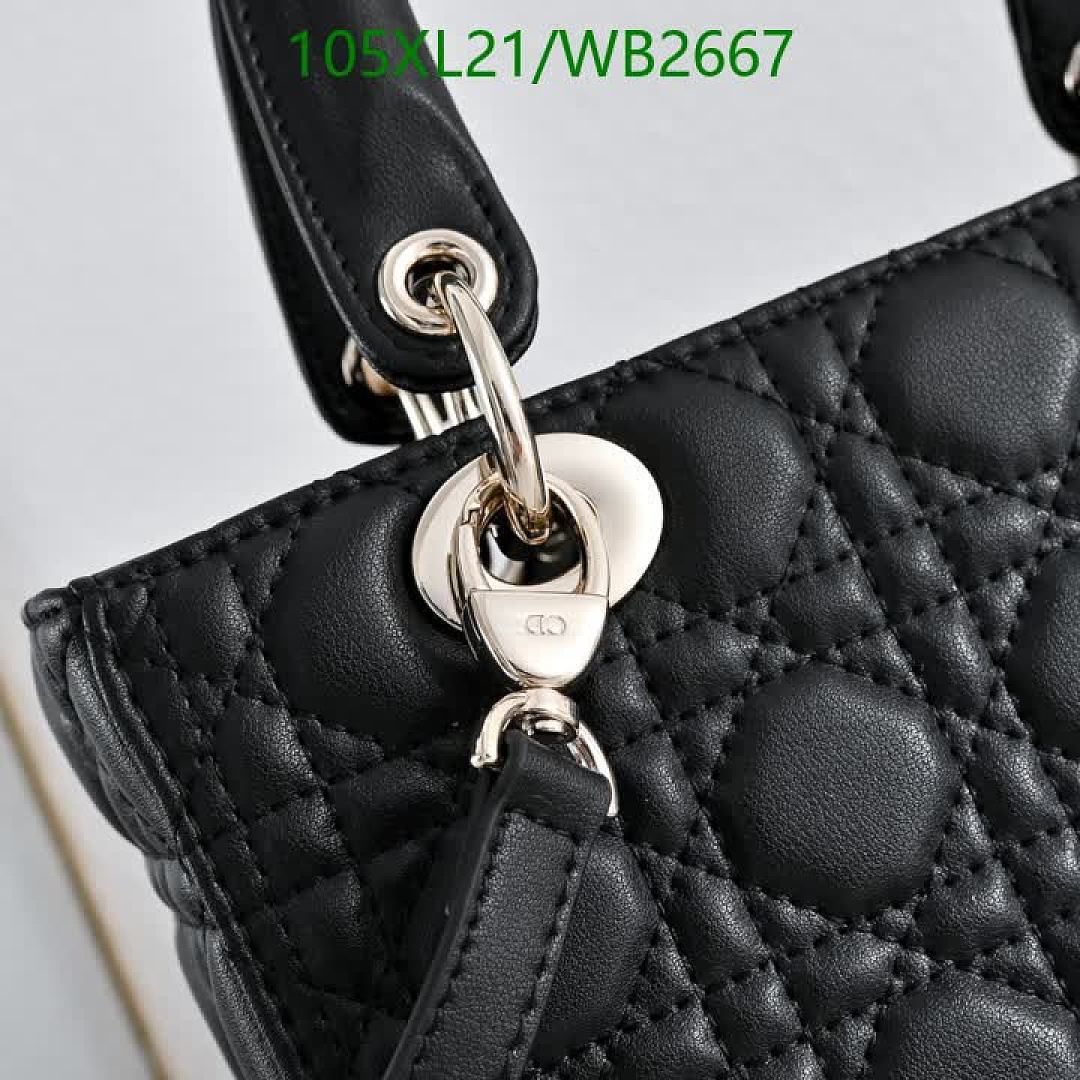 Dior-Bag-4A Quality Code: WB2667 $: 105USD