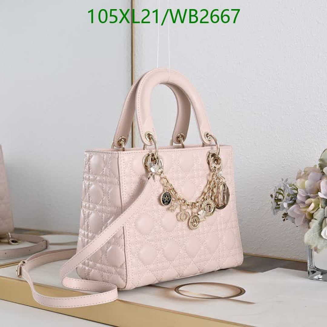 Dior-Bag-4A Quality Code: WB2667 $: 105USD