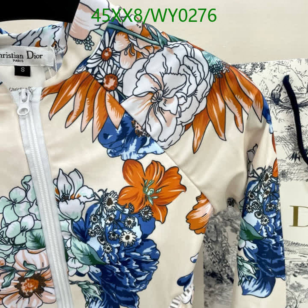 Dior-Swimsuit Code: WY0276 $: 45USD