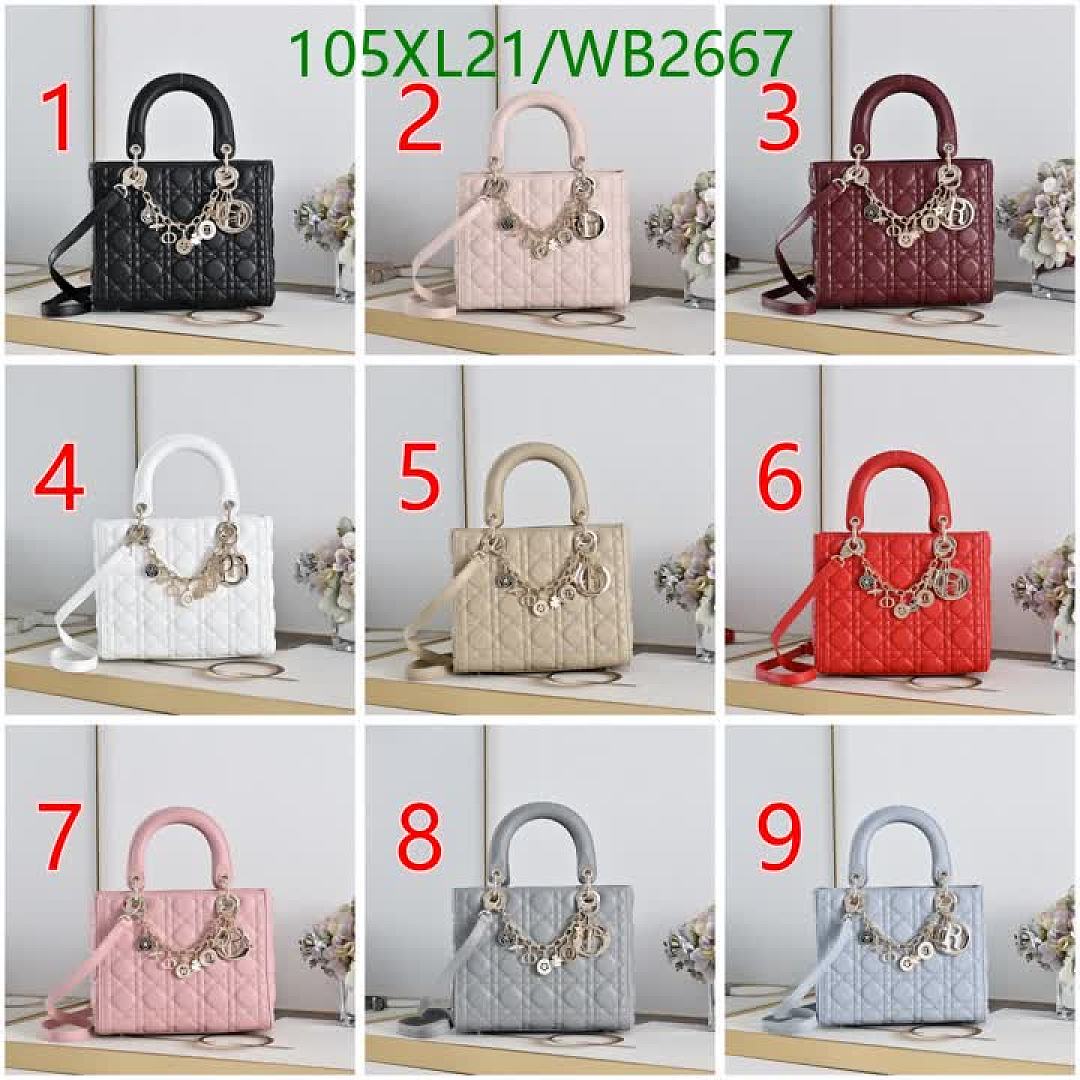 Dior-Bag-4A Quality Code: WB2667 $: 105USD