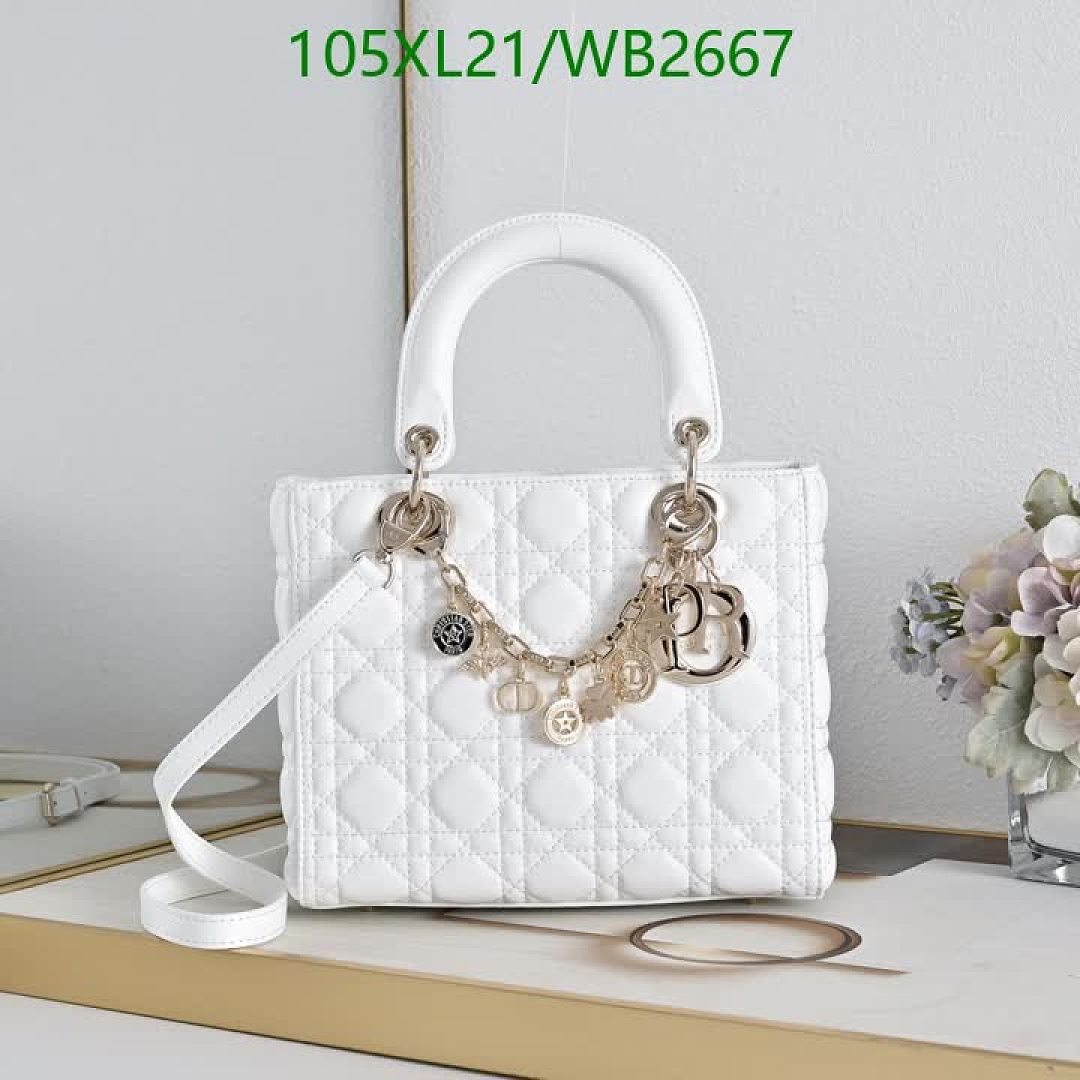 Dior-Bag-4A Quality Code: WB2667 $: 105USD