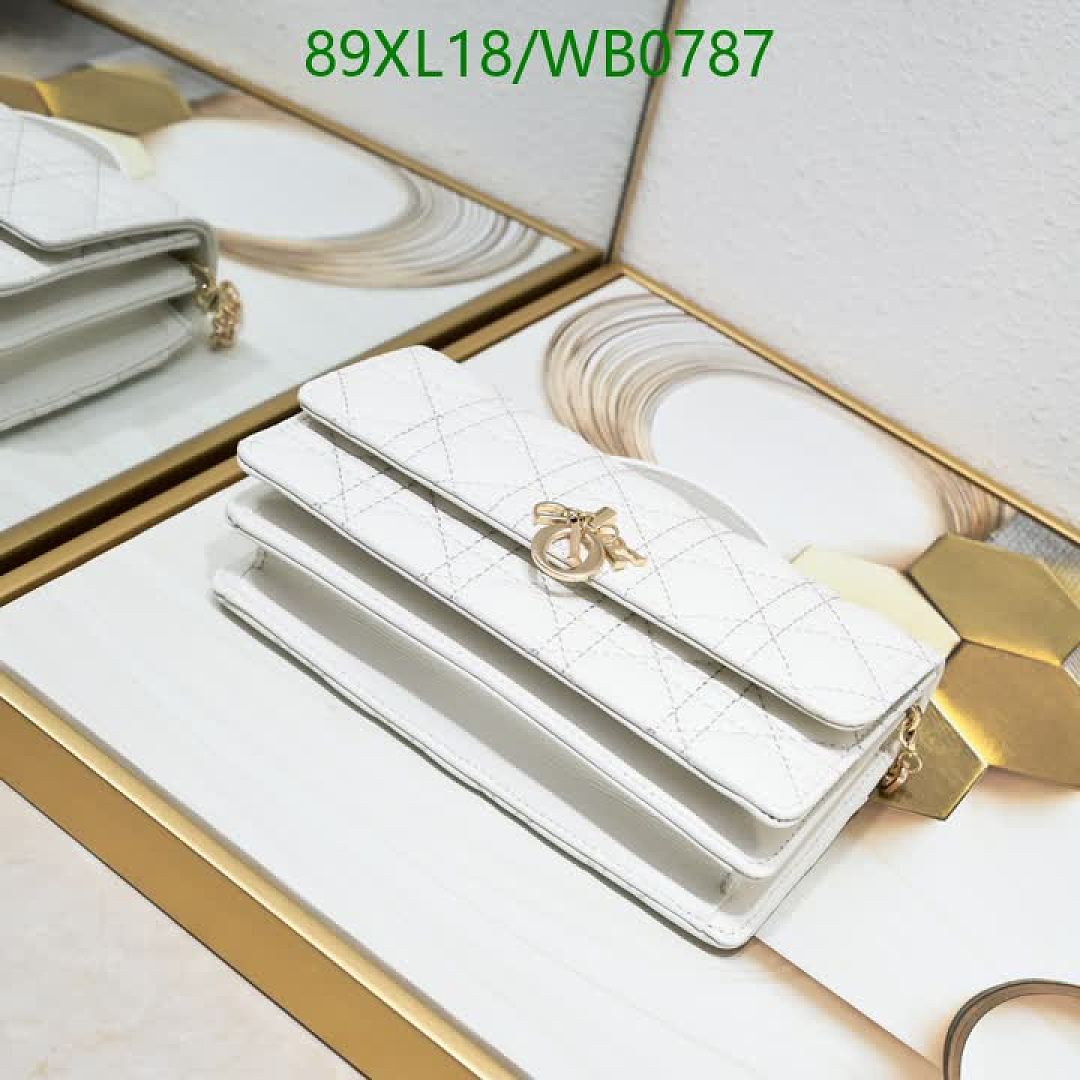 Dior-Bag-4A Quality Code: WB0787 $: 89USD