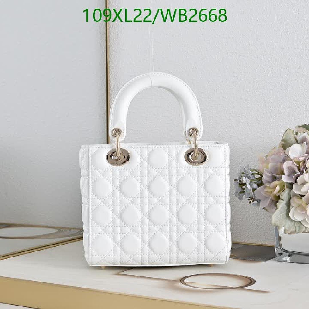 Dior-Bag-4A Quality Code: WB2668 $: 109USD