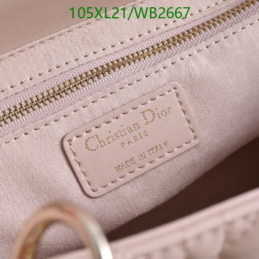 Dior-Bag-4A Quality Code: WB2667 $: 105USD