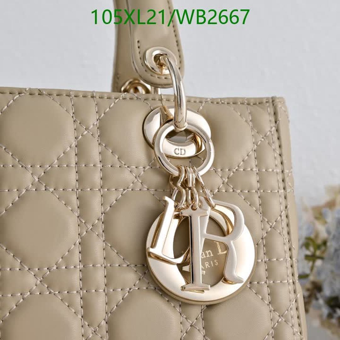 Dior-Bag-4A Quality Code: WB2667 $: 105USD