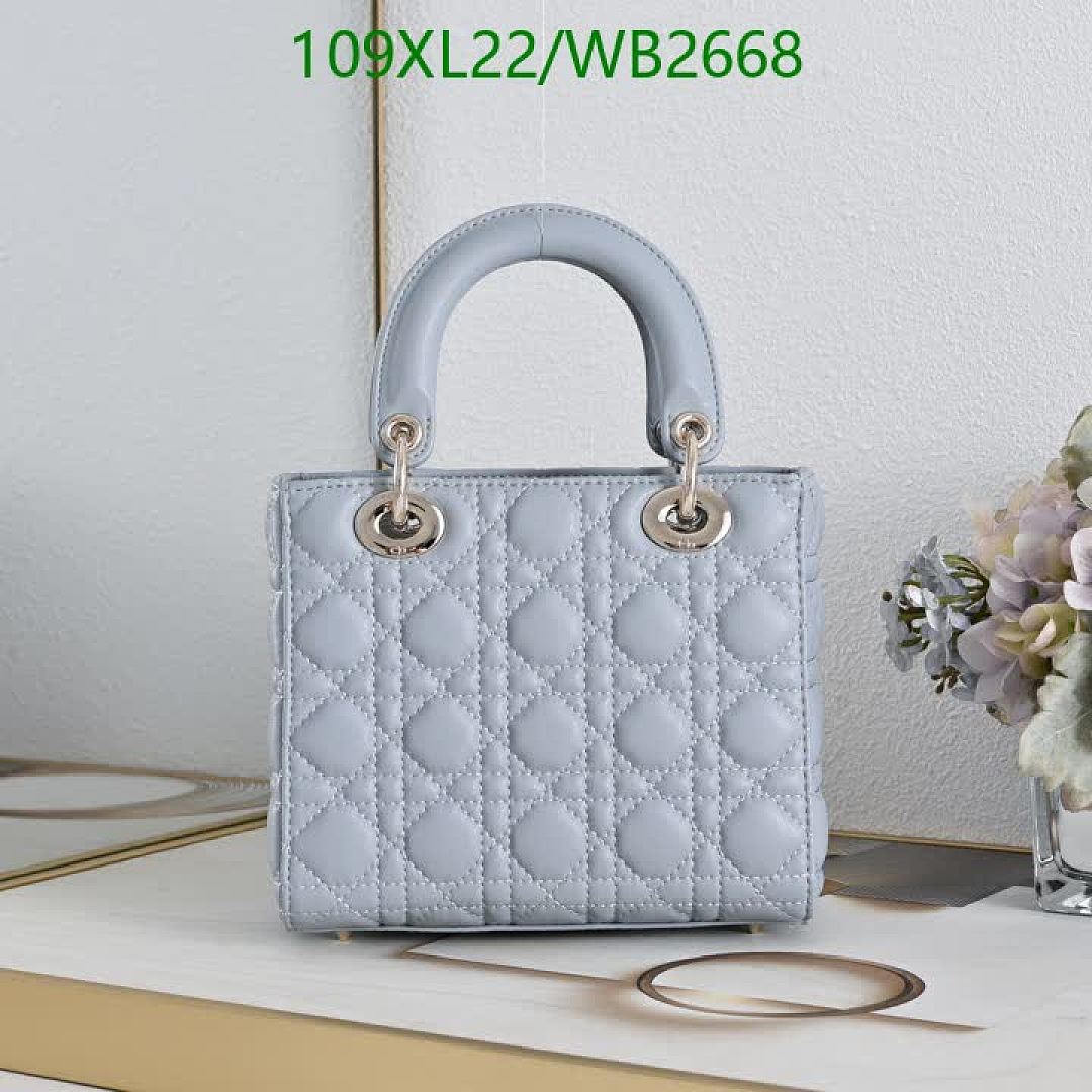 Dior-Bag-4A Quality Code: WB2668 $: 109USD
