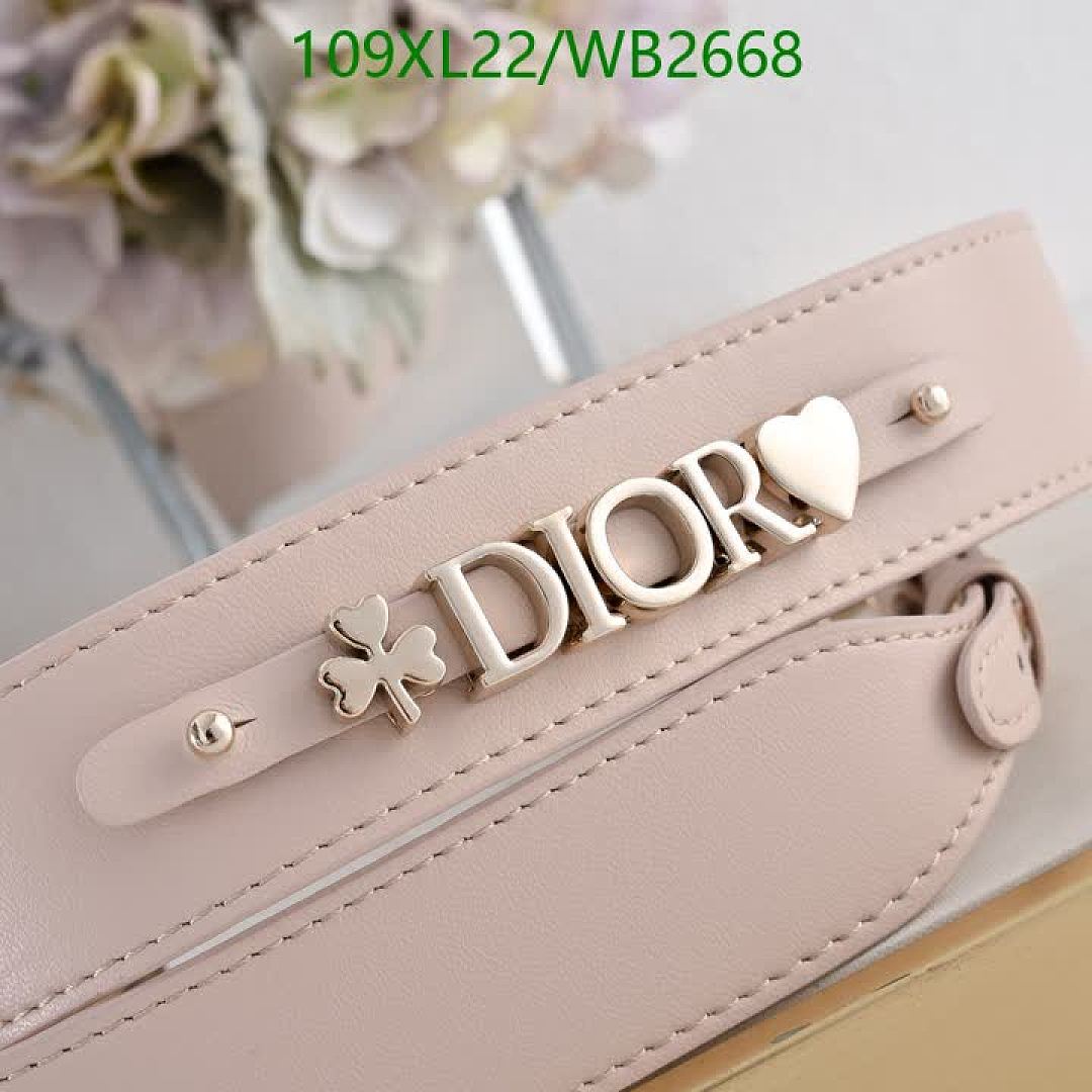 Dior-Bag-4A Quality Code: WB2668 $: 109USD