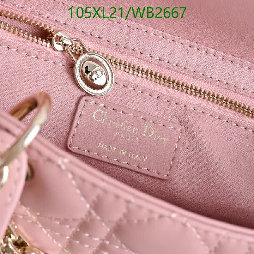 Dior-Bag-4A Quality Code: WB2667 $: 105USD