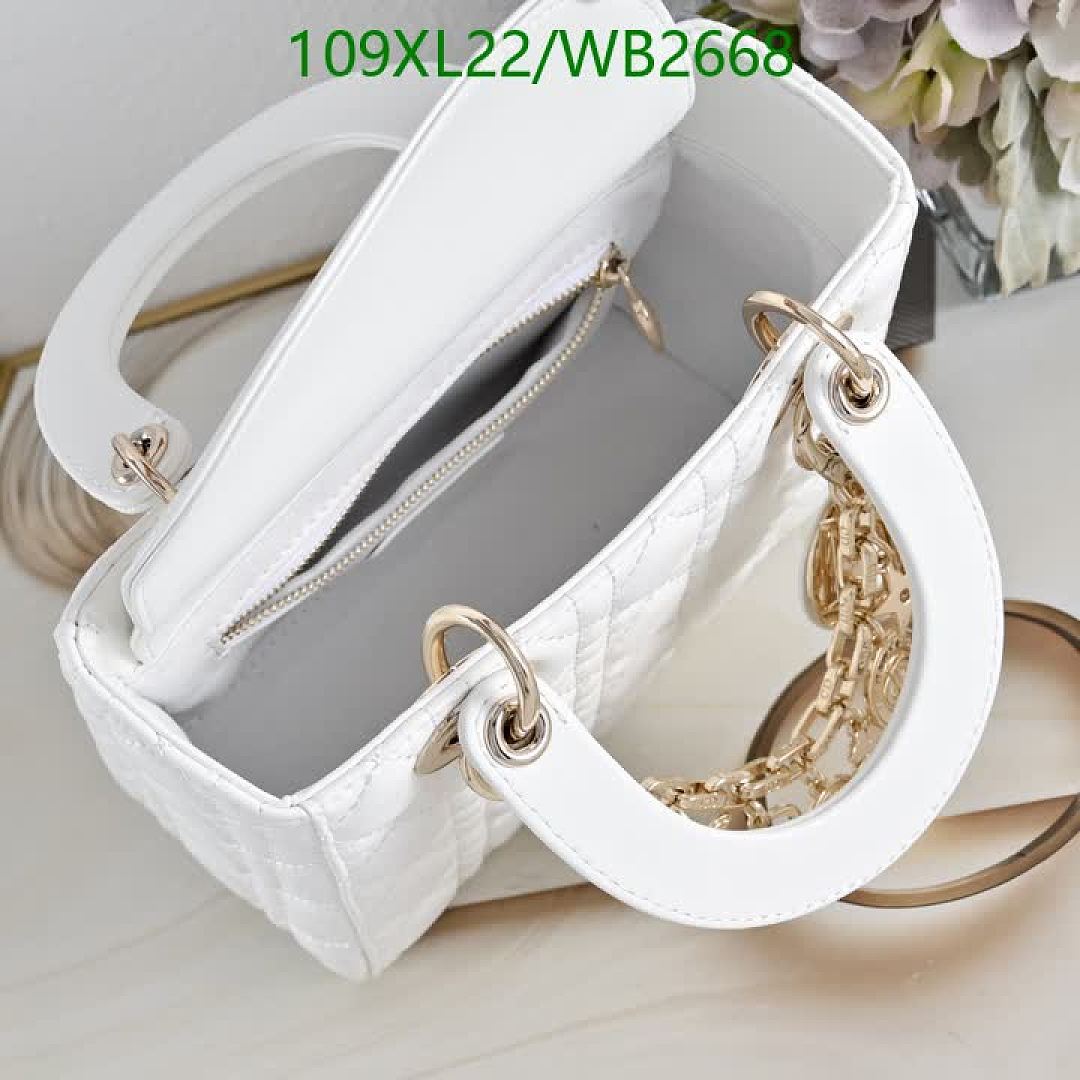 Dior-Bag-4A Quality Code: WB2668 $: 109USD