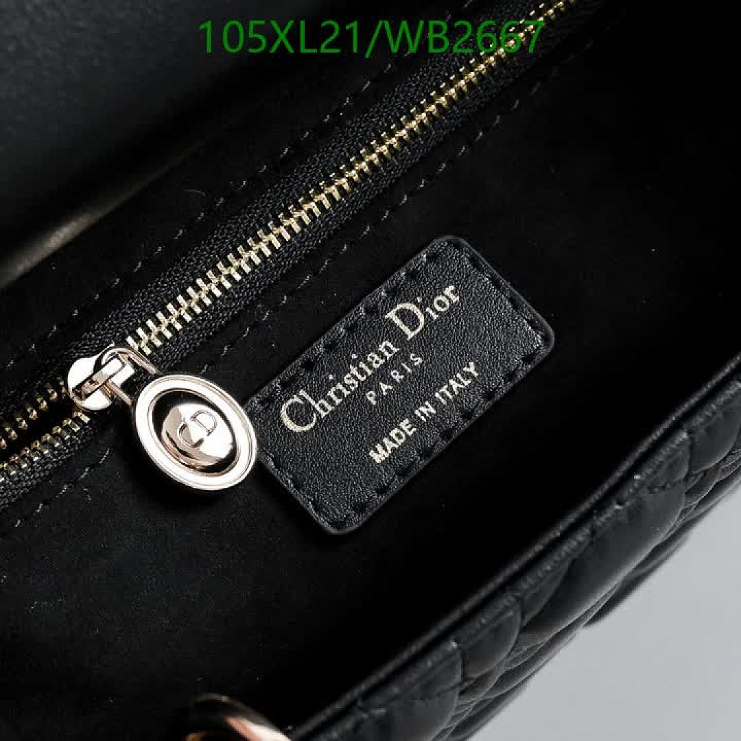Dior-Bag-4A Quality Code: WB2667 $: 105USD