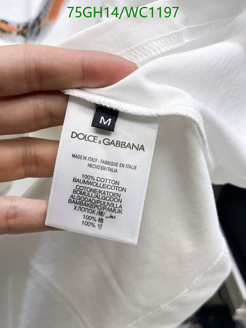 D&G-Clothing Code: WC1197 $: 75USD