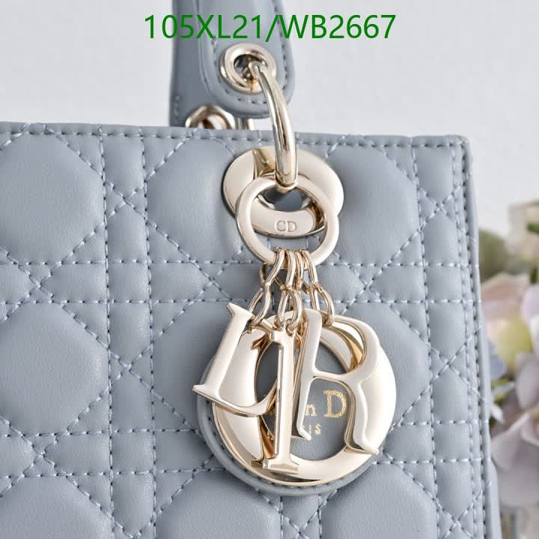 Dior-Bag-4A Quality Code: WB2667 $: 105USD
