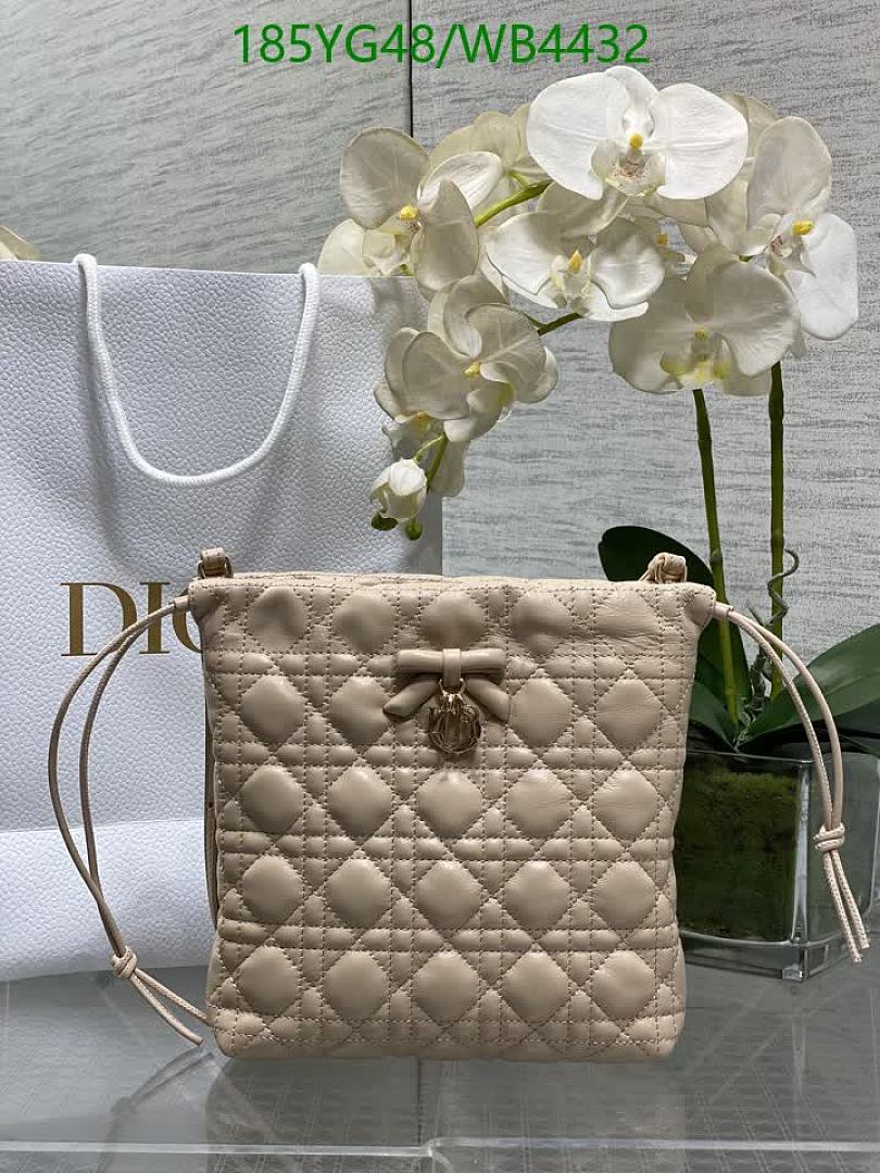 Dior-Bag-Mirror Quality Code: WB4432 $: 185USD