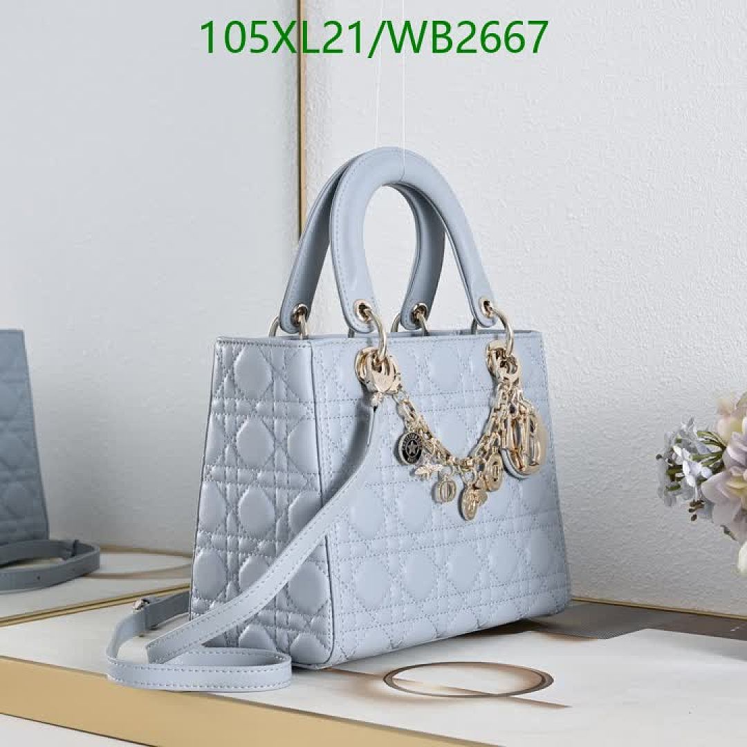 Dior-Bag-4A Quality Code: WB2667 $: 105USD