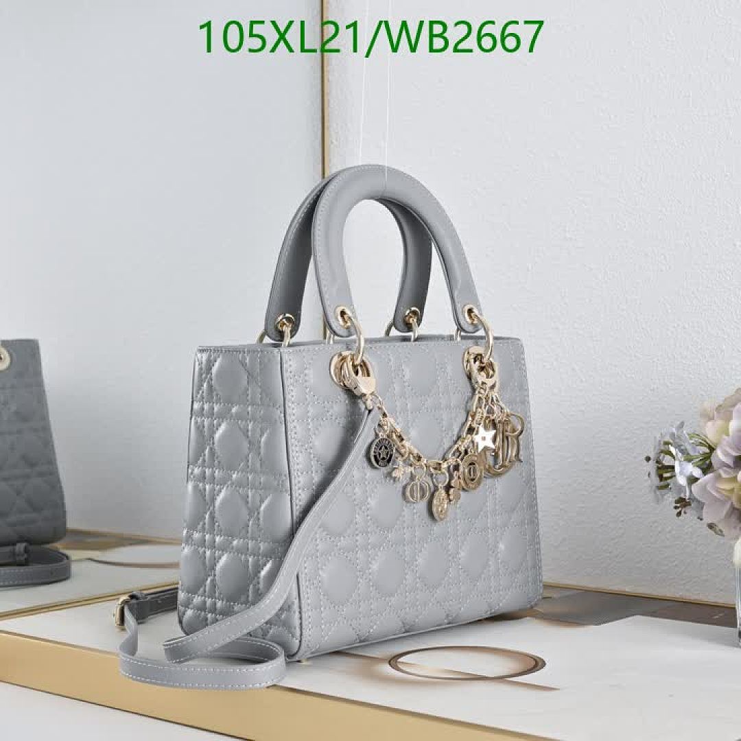Dior-Bag-4A Quality Code: WB2667 $: 105USD