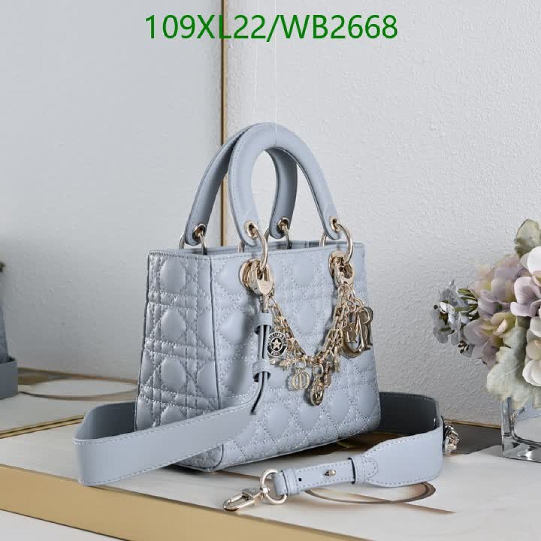 Dior-Bag-4A Quality Code: WB2668 $: 109USD