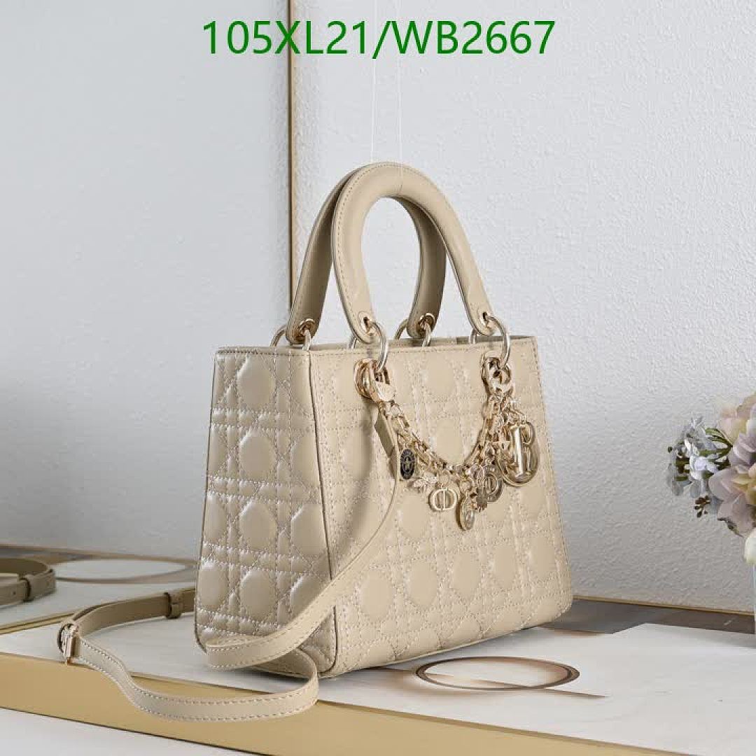 Dior-Bag-4A Quality Code: WB2667 $: 105USD